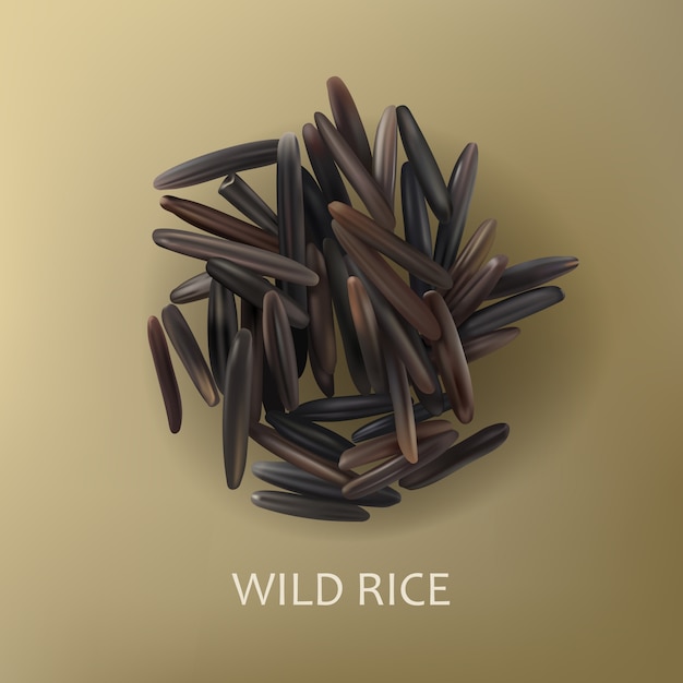 Grains of wild black rice