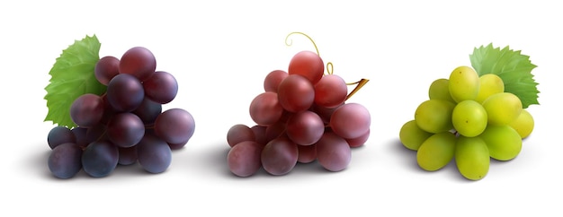 Grapes realistic composition with red rose and white grapes isolated