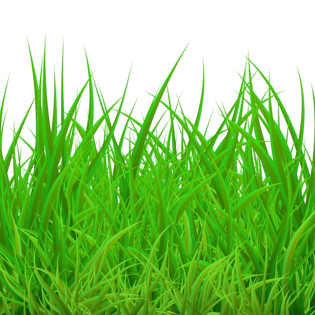 Free Vector grass background design