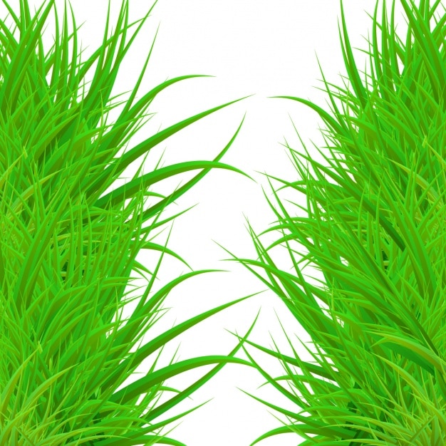 Grass background design