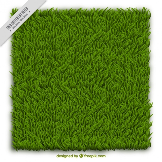 Free Vector grass background design