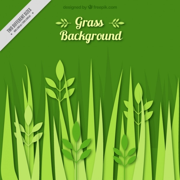 Free vector grass background flat style