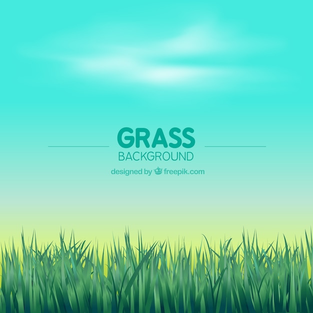 Grass background