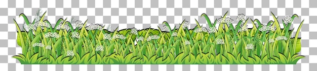 Grass and plants on transparent background for decor