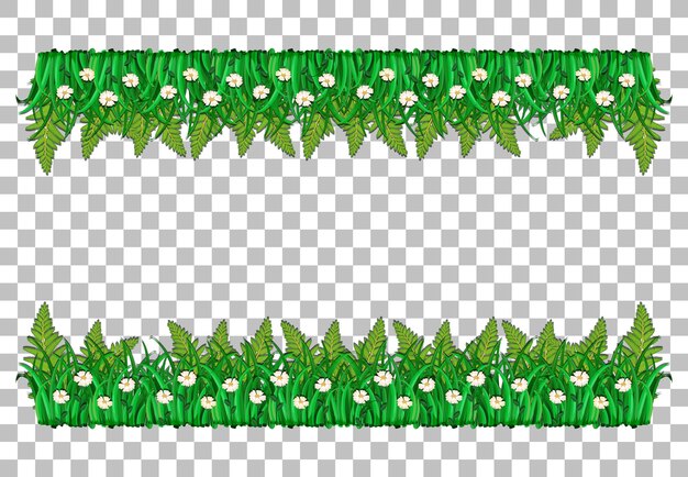 Grass and plants on transparent background for decor