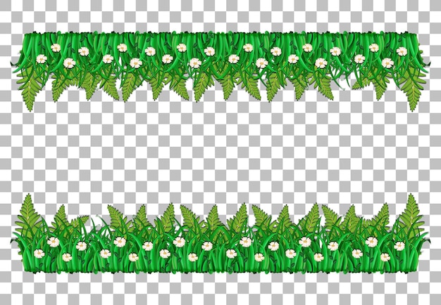 Grass and plants on transparent background for decor