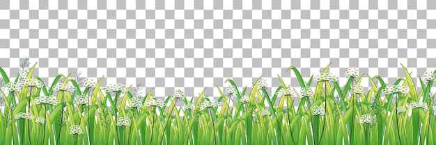 Grass and plants on transparent background for decor