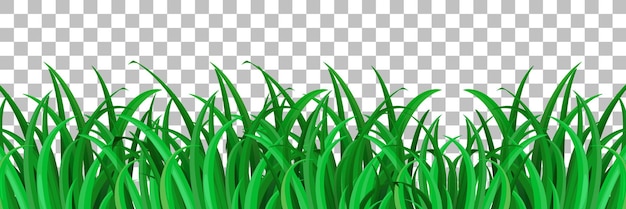 Grass and plants on transparent background for decor