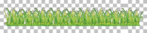 Grass and plants on transparent background for decor