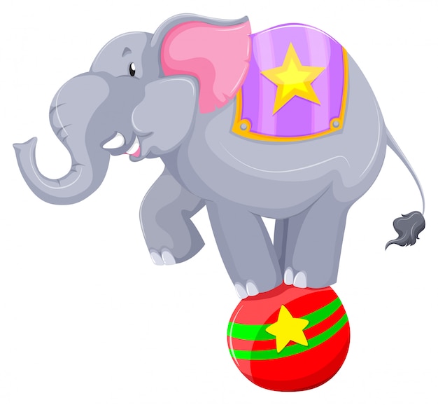 Free vector gray elephant balancing on the ball