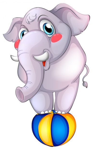 Free vector gray elephant on ball on white