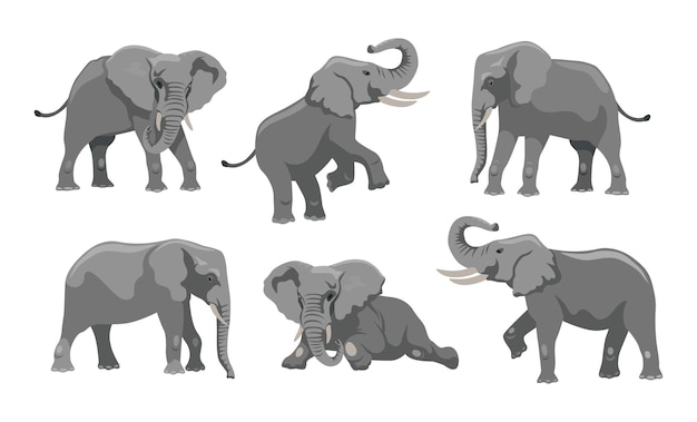 Free vector gray elephant in different positions cartoon illustration set. big african mammal character with large ears and trunk walking, lying and jumping on white background. animal, zoo, wildlife concept