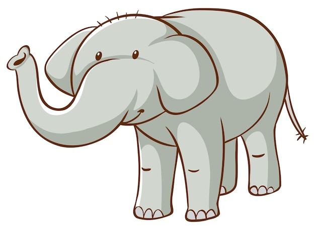 Gray elephant on white background