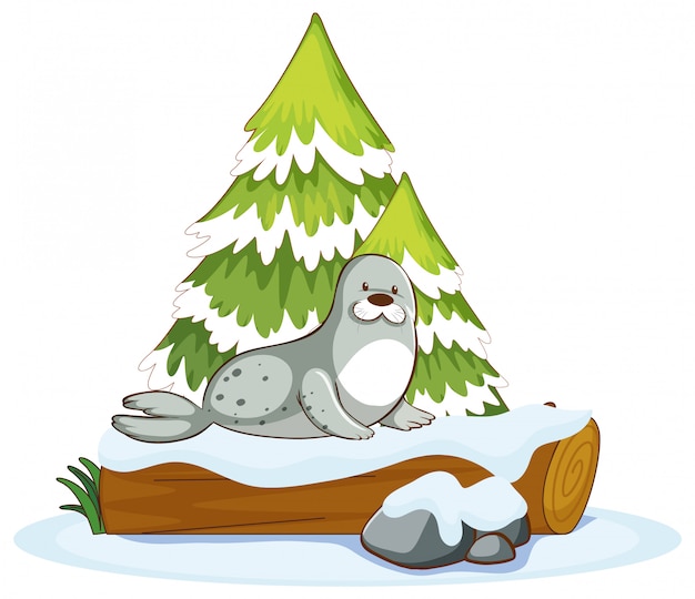 Free vector gray seal on wooden log