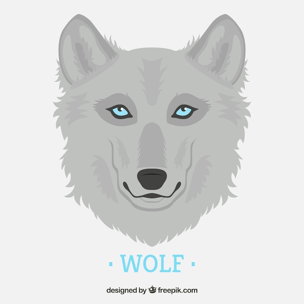 Gray wolf background