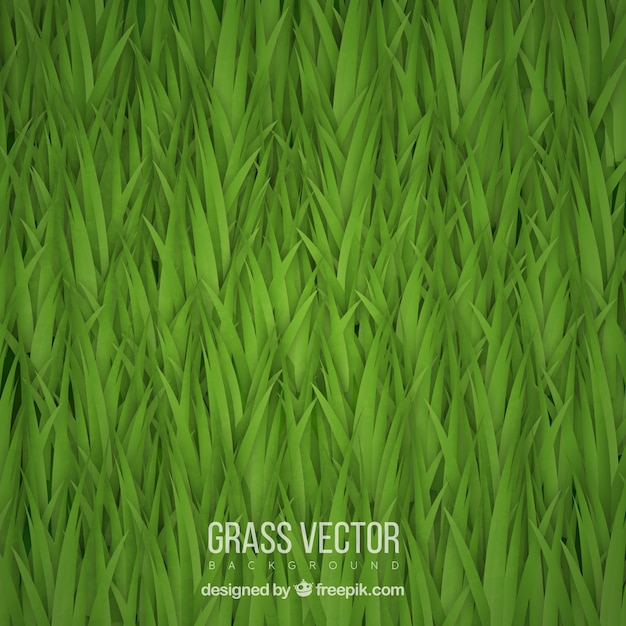 Free Vector great background of realistic grass