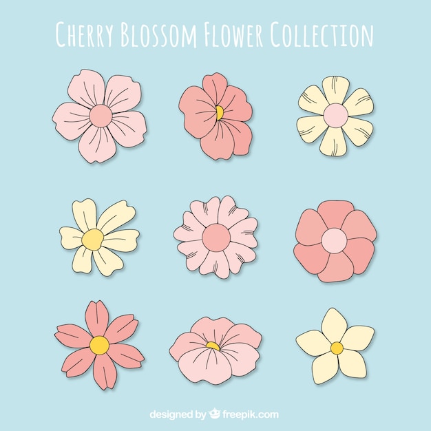 Free Vector great cherry blossom flower set