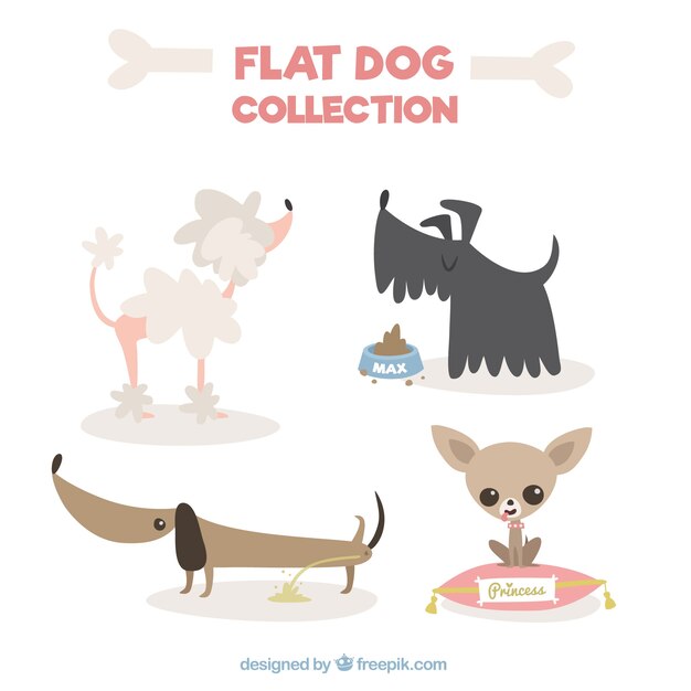 Great collection of dogs in flat design