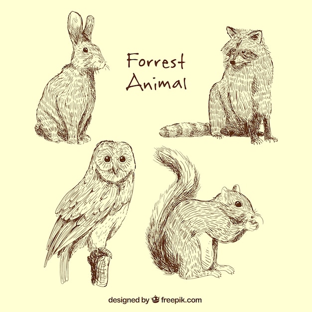 Free vector great collection of forest animals