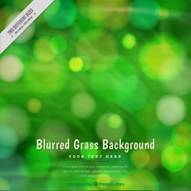 Free Vector great grass background with blurred effect