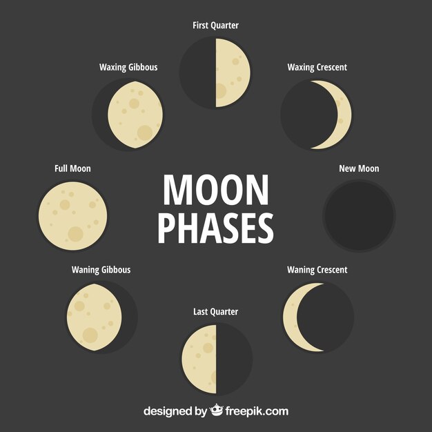 Great moon phases in flat design