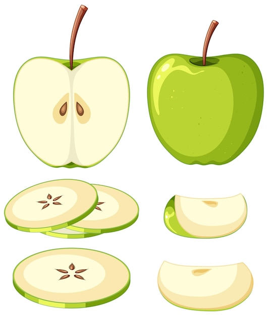 Free Vector green apple in whole and sliced pieces