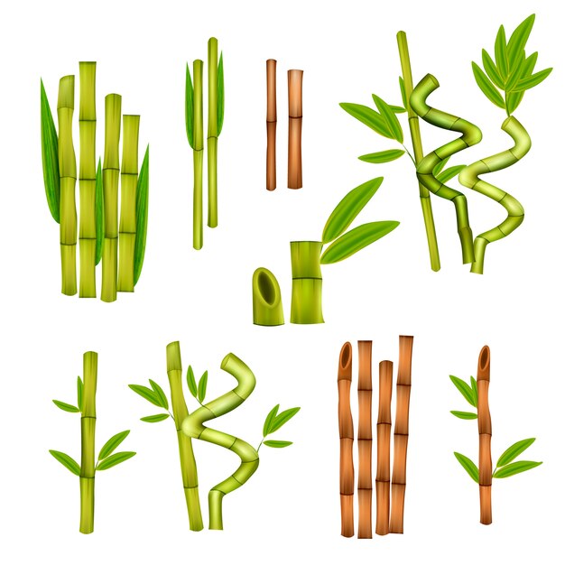 Green bamboo decorative elements