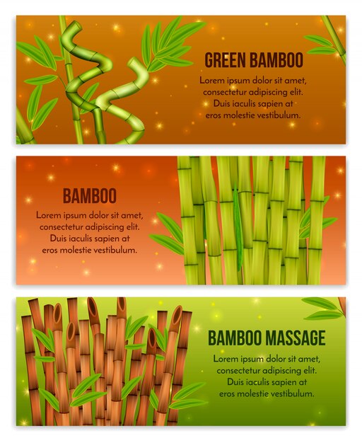 Green bamboo interior decorative elements