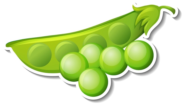 Green beans sticker on white background