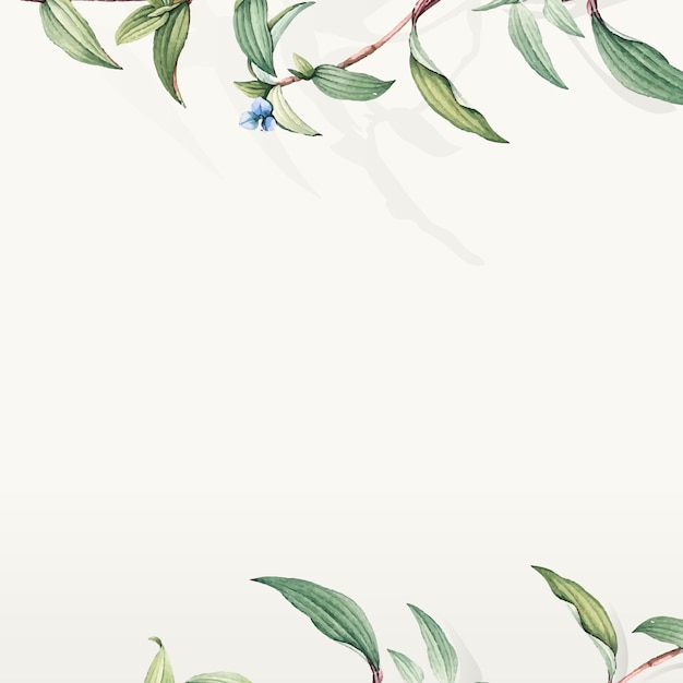 Green botanical leaves background design