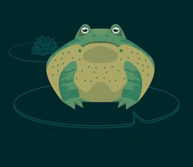 Green bull frog amphibian