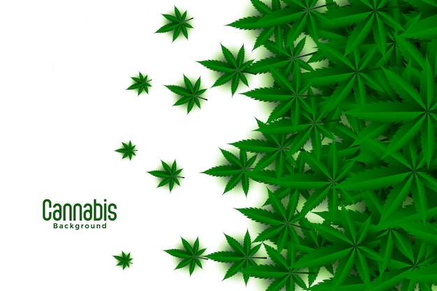 Free vector green cannabis leaves white background