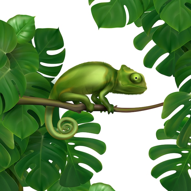 Free Vector green chameleon lizard in tropical rainforest