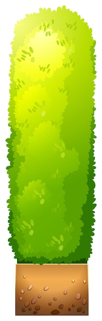 Free Vector a green decorative plant