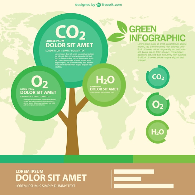 Free Vector green eco infographic with a round tree