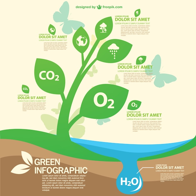 Free Vector green eco infographic