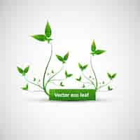 Free vector green eco leaves