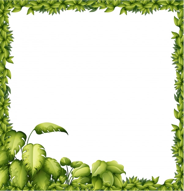 Free Vector a green frame 