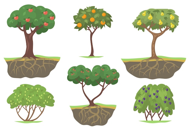 Free Vector green fruit trees and berry bushes flat set