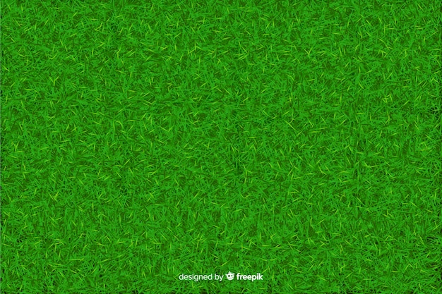 Green grass background realisitic design