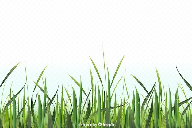 Free Vector green grass border realistic design