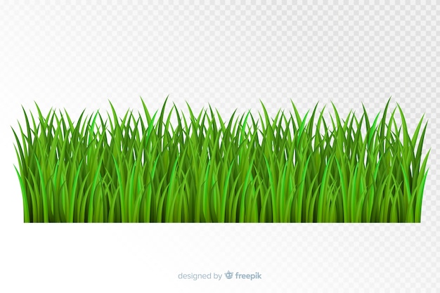 Green grass border realistic design