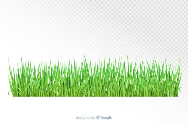 Green grass border realistic design