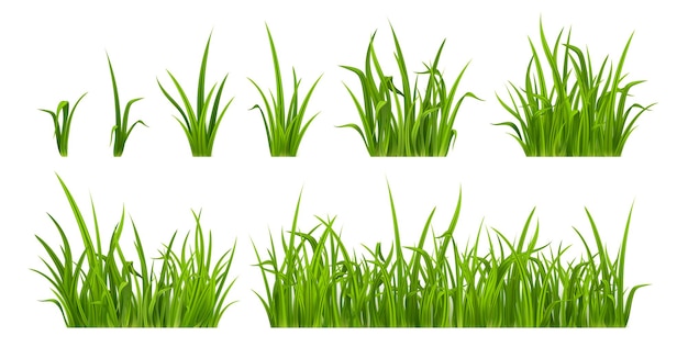 Green grass realistic weed plants for lawn