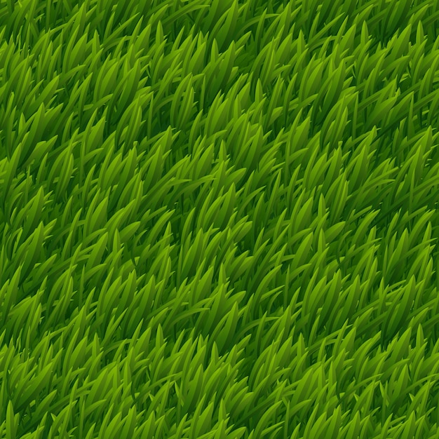 Green grass vector seamless texture. Lawn nature, meadow plant, field natural outdoor illustration