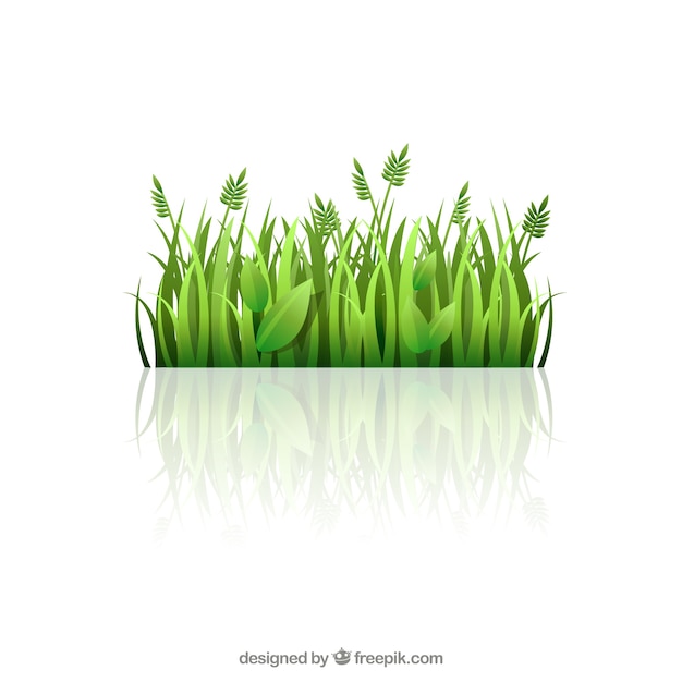 Free Vector green grass