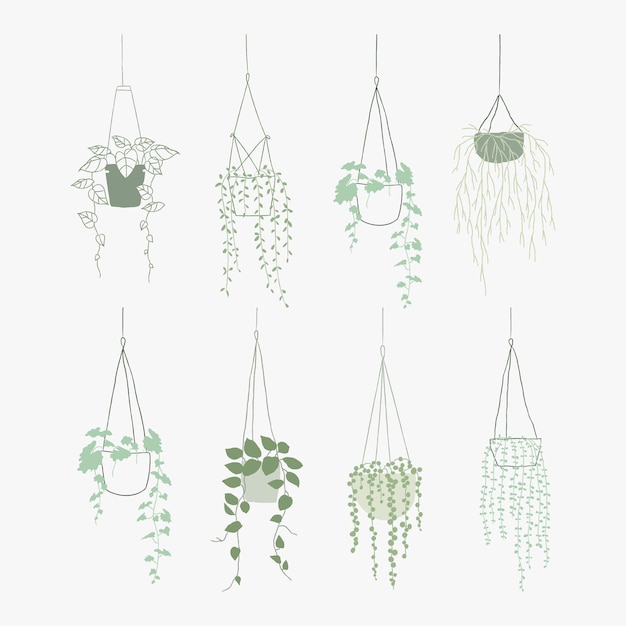 Free Vector green hanging plant vector set doodle style