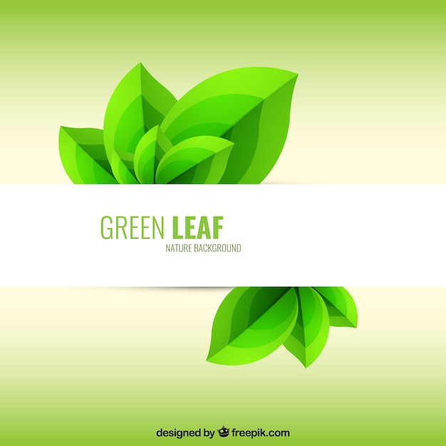 Green leaf background