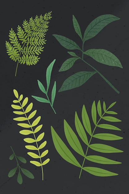 Green leaf design element set on a gray background 