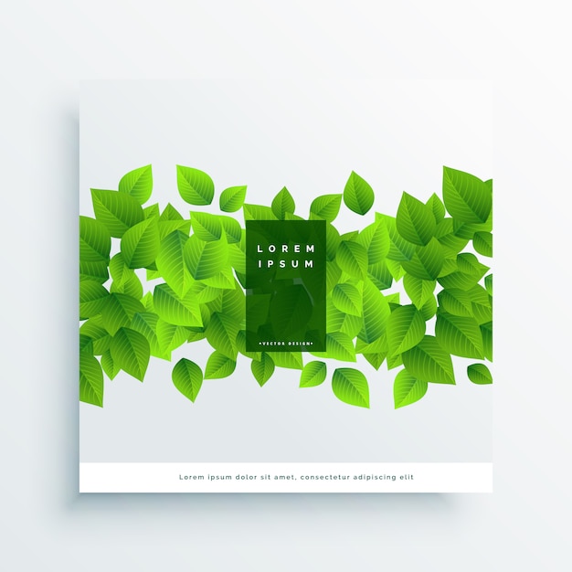 Green leaves card cover background